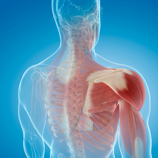 Frozen shoulder, also known as adhesive capsulitis, is a condition characterized by stiffness and pain in your shoulder joint