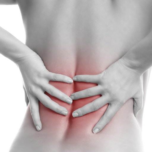Exercise and Physical Therapy Treatment for Chronic Low Back Pain